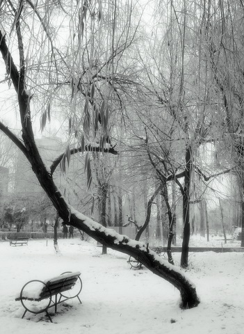 winter2007-022.jpg